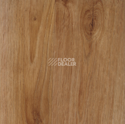 Линолеум IVC Vision Tavel T48 фото 1 | FLOORDEALER